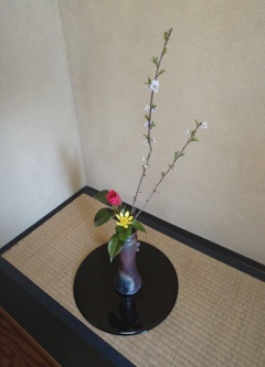 稽古の時のお花の写真